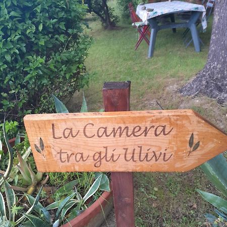 La Camera Tra Gli Ulivi Dream Finale Finale Ligure Eksteriør billede