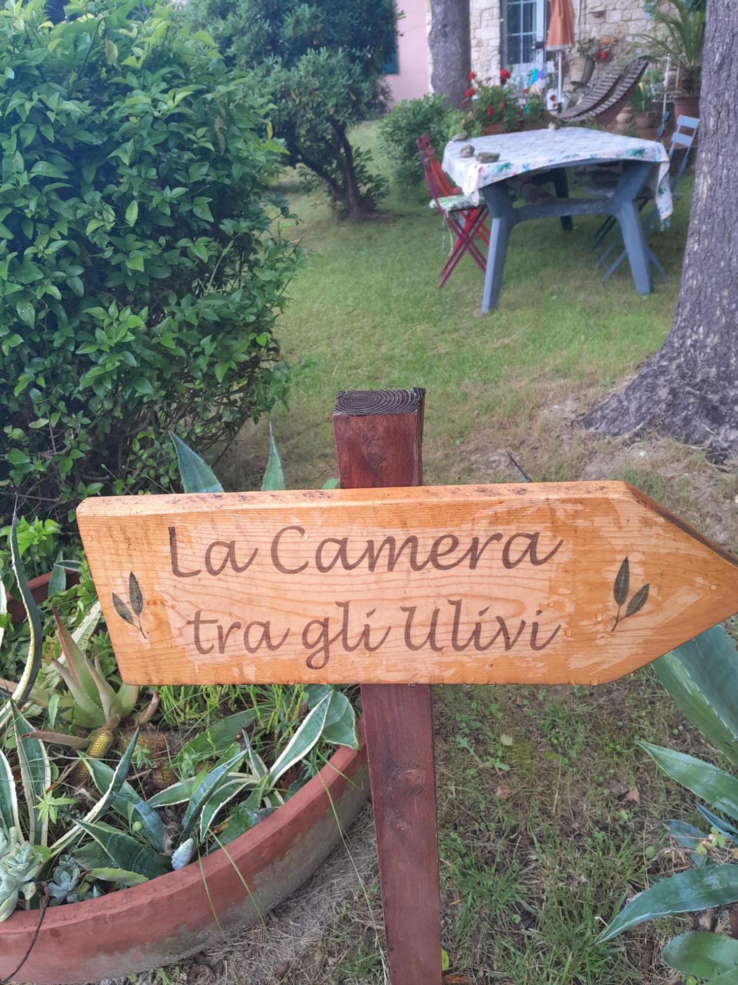 La Camera Tra Gli Ulivi Dream Finale Finale Ligure Eksteriør billede