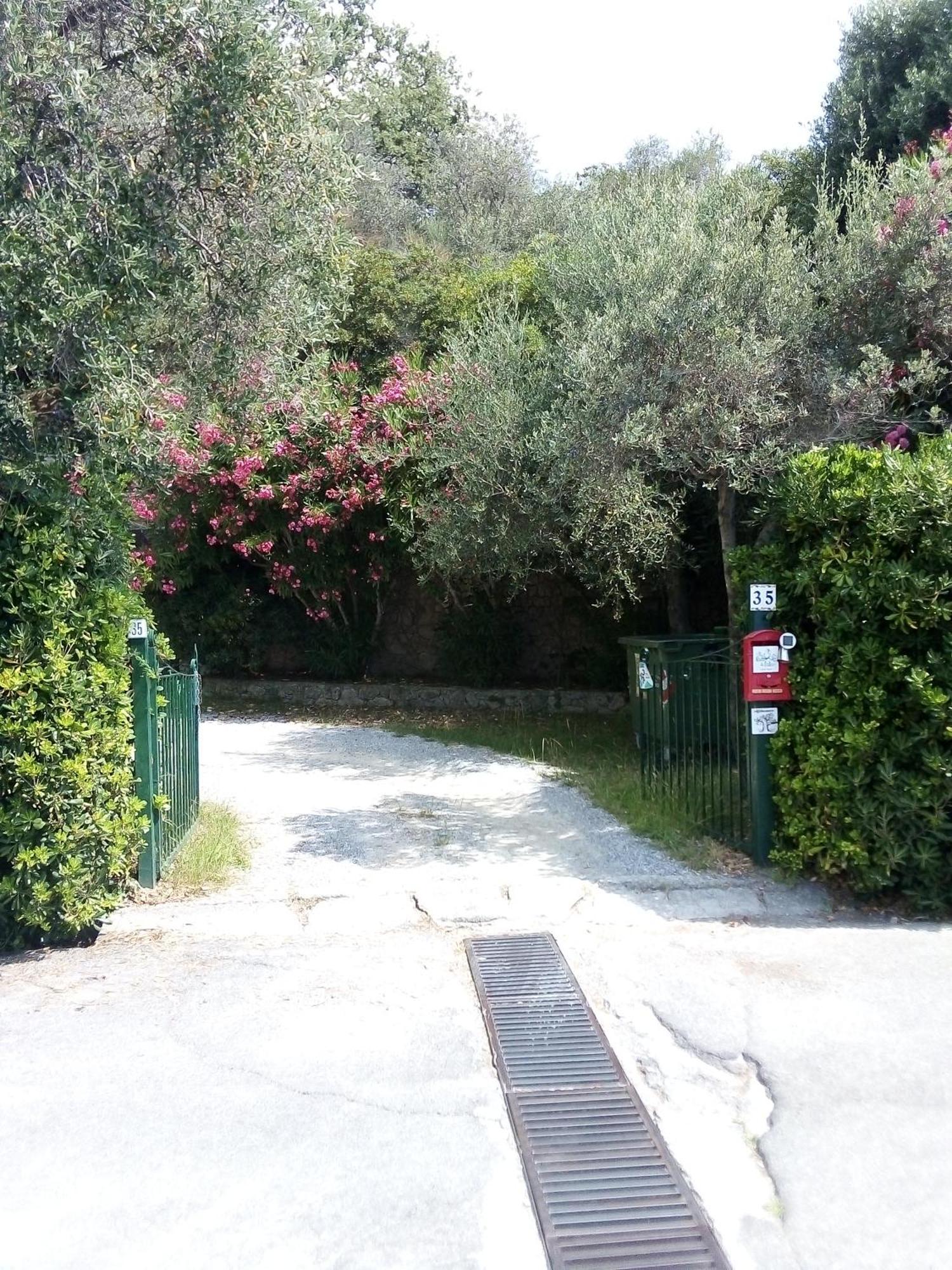 La Camera Tra Gli Ulivi Dream Finale Finale Ligure Eksteriør billede